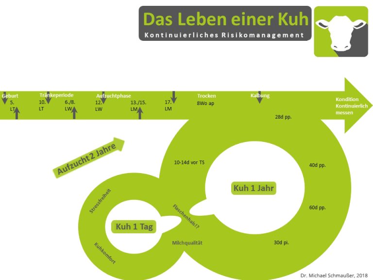 DasLebenEinerKuh